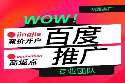 百度推广运营实战：中小企业如何突围